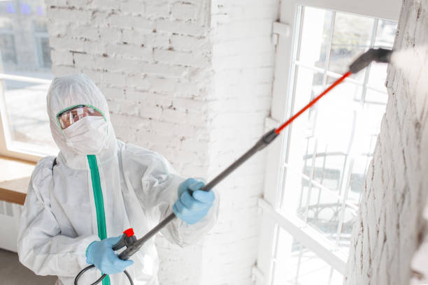Best Indoor Air Quality Assessment  in Fate, TX