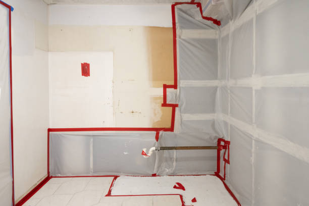 Best Basement Mold Removal  in Fate, TX