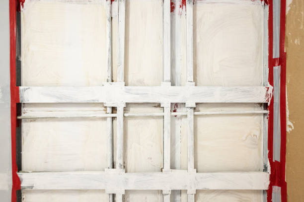 Best Water Damage & Mold Remediation  in Fate, TX